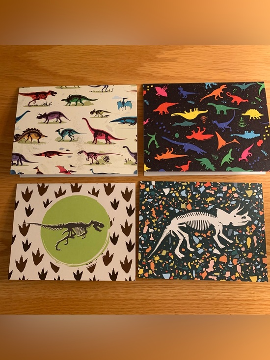 Other - 12 Stamped Dinosaur blank notecards